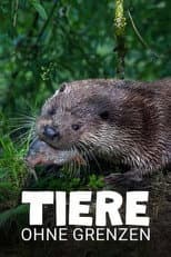 Poster for Tiere ohne Grenzen