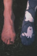 Poster for Super 8 Diary - 2006