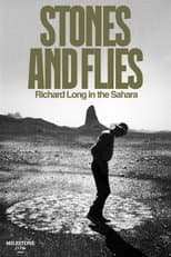 Poster for Stones and Flies: Richard Long in the Sahara