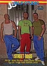 Poster for Street Dogs