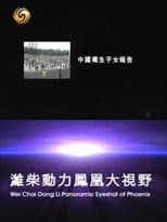 Poster for 凤凰大视野：中国独生子女报告