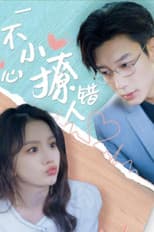 Poster for 一不小心撩错人