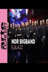 Poster for NDR Bigband feat. Lenine & Martin Fondse: The Bridge Elbjazz Festival 2024