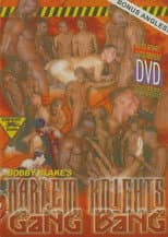 Poster for Harlem Knights Gang Bang