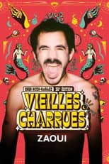 Poster for Zaoui en concert aux Vieilles Charrues 2024