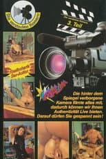 Poster for Die versteckte Kamera 3