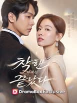 Poster for 착한 아내는 끝났다