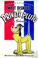 Poster for Private Pluto