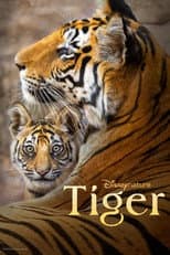 Poster for Tiger