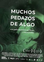Poster for Many Pieces of Something