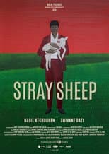 Poster for Stray Sheep