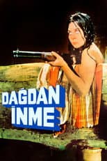 Poster for Dağdan İnme