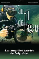 Poster for Au fil de l'eau, les anguilles sacrées de Polynésie