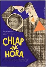 Poster for Chlap jako hora