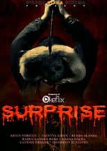 Poster for Surprise