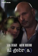 Poster for Algebra: A Reunion of Broken Parts
