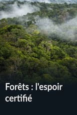 Poster for Forêts : l'espoir certifié