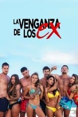 Poster for La venganza de los Ex