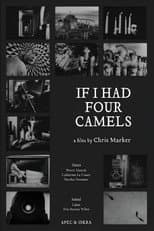 Poster for If I Had Four Dromedaries