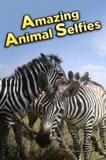 Poster for Amazing Animal Selfies