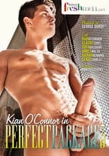 Poster for Perfect Package 3