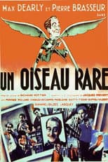 Poster for A Rare Bird