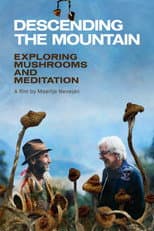 Poster for Descending the Mountain