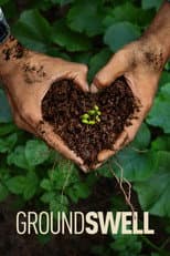 Poster for Groundswell
