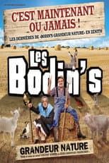 Poster for Les Bodin's - Grandeur Nature - La Dernière Des Zénith