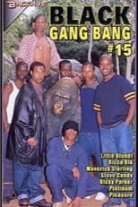 Poster for Black Gang Bang 15