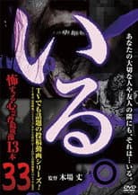 Poster for 「Iru.」~ Kowasugiru Tōkō Eizō 13-hon ~ Vol.33