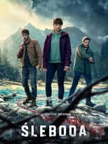 Poster for Limited Series