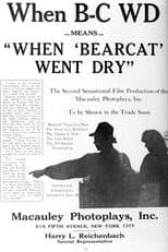 Poster for When Bearcat Went Dry