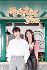 Poster for Meeting You