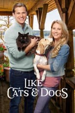 Poster for Like Cats & Dogs