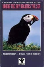 Poster for Where the Bay Becomes the Sea