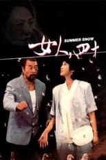 Poster for Summer Snow