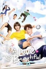 Poster for A Love So Beautiful