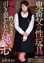 Poster for Papa's A Pervert! And He Loves His Sex Toys! An Innocent Heart, Torn Apart By Pregnancy Fetish Lust Mari Kagami