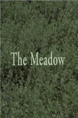 Poster for The Meadow