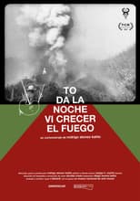 Poster for All Night Long I Watched The Fire Grow
