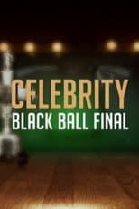 Poster for Celebrity Black Ball Final with Steve Davis