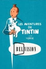 Poster for Les Aventures de Tintin, d'après Hergé