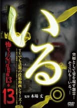 Poster for 「Iru.」~ Kowasugiru Tōkō Eizō 13-hon ~ Vol.13