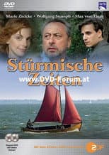 Poster for Stormy Times