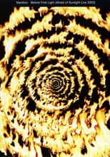 Poster for Marillion - Before First Light