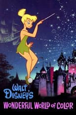 Poster for The Wonderful World of Disney