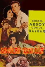 Poster for Kara Günlerim