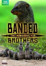 Poster for Banded Brothers: The Mongoose Mob