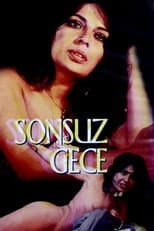 Poster for Endless Night